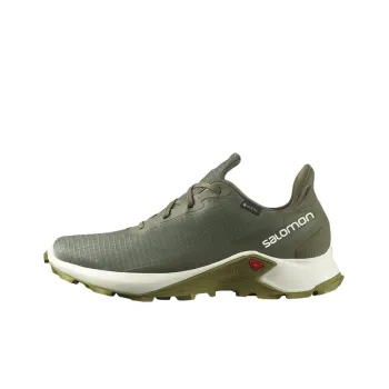 SALOMON Alphacross 3 Running Shoes Men Low-Top Olive Green