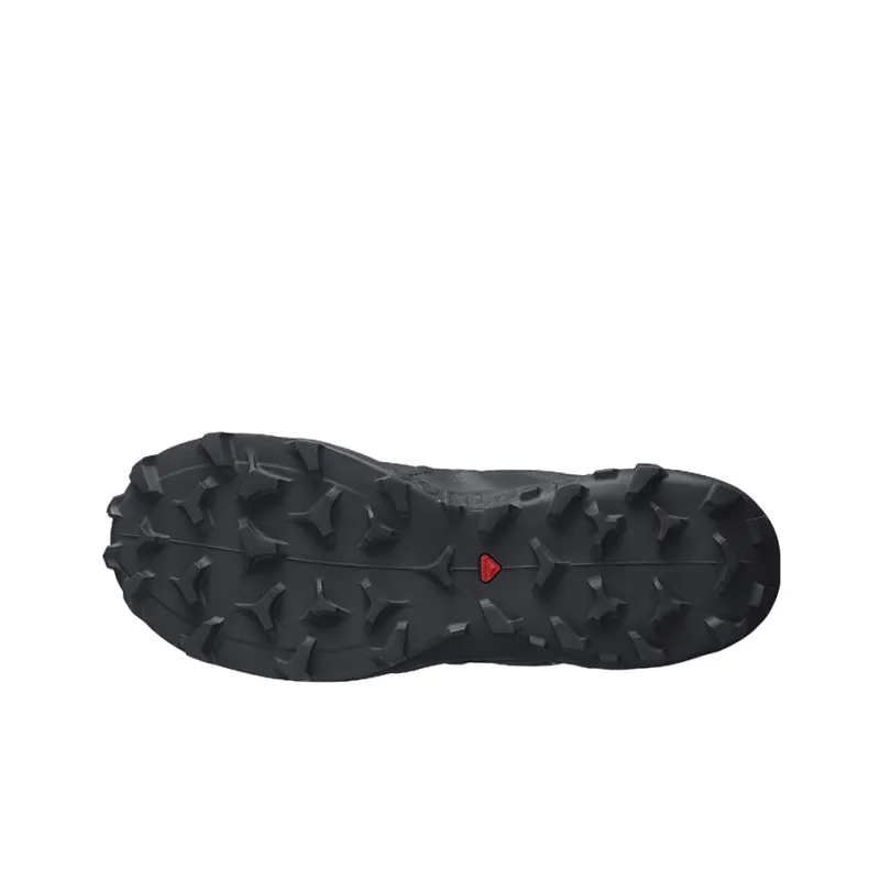 SALOMON Wildcross 2 Gore Tex / L00-3