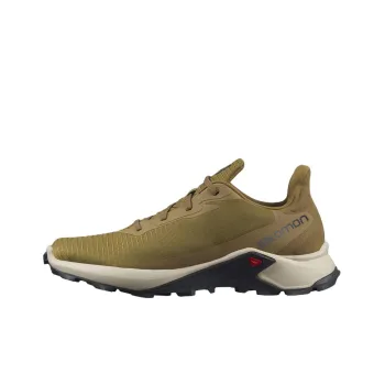 SALOMON Alphacross 3 Running Shoes Men Low-Top Earth Yellow