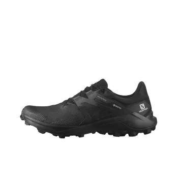 SALOMON Wildcross 2 Gore Tex / L00