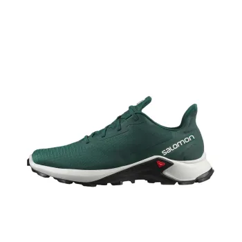 SALOMON Alphacross 3 Running Shoes Men Low-Top Jasper