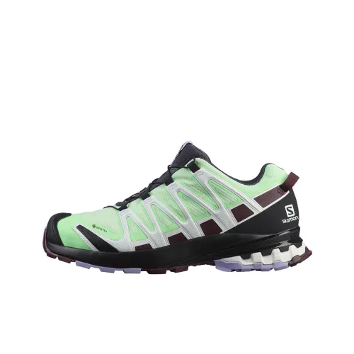 SALOMON XA Pro 3D V8 Running Shoes Women's Low-Top Black/Green/Brown