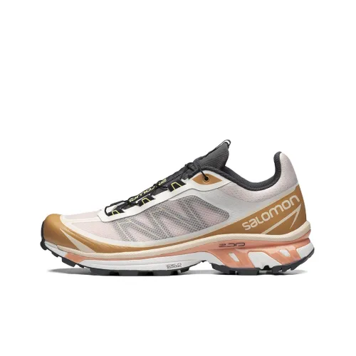 SALOMON XT-6 FT Morganite Fenugreek