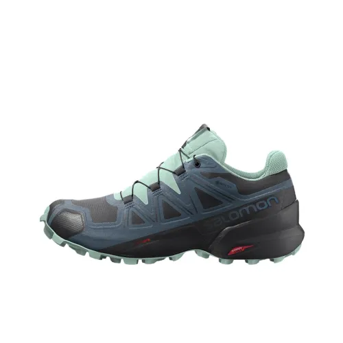 SALOMON Speedcross 5 Gore Tex / L00Women's