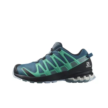 SALOMON XA Pro 3D V8 Hiking / Trekking Shoes Women's Low Top Blue