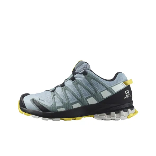 SALOMON XA Pro 3D V8 Hiking / Trekking Shoes Women's Low-Top Gray Blue/Black