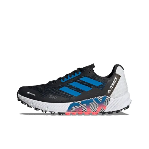 Adidas Terrex Agravic Flow 2.0 Running Shoes Men Low-Top Black/Blue