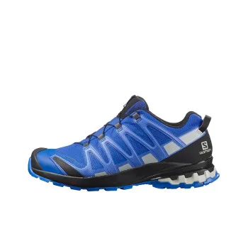 SALOMON XA Pro 3D V8 Wear-Resistant Low-Top Trekking Shoes Men's Blue