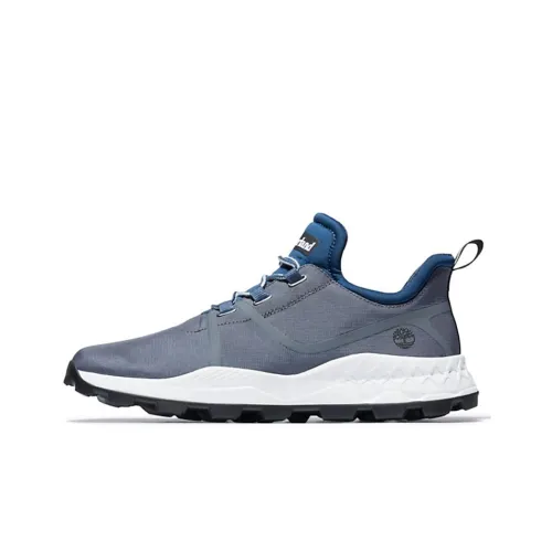 Timberland BROOKLYN Collection Casual Shoes Men Low-Top Blue