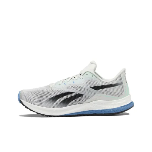 Reebok Floatride Energy 3 'Pure Grey Essential Blue'