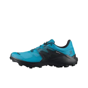 SALOMON Wildcross 2 Gtx 'Blue Black' / L00