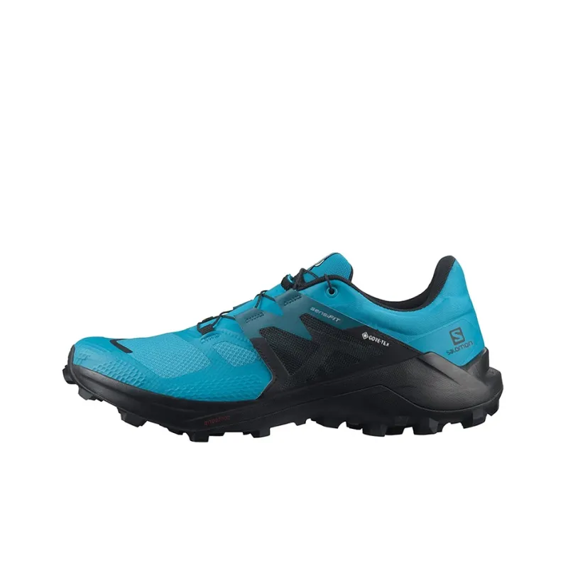 SALOMON Wildcross 2 Gtx 'Blue Black' / L00-0