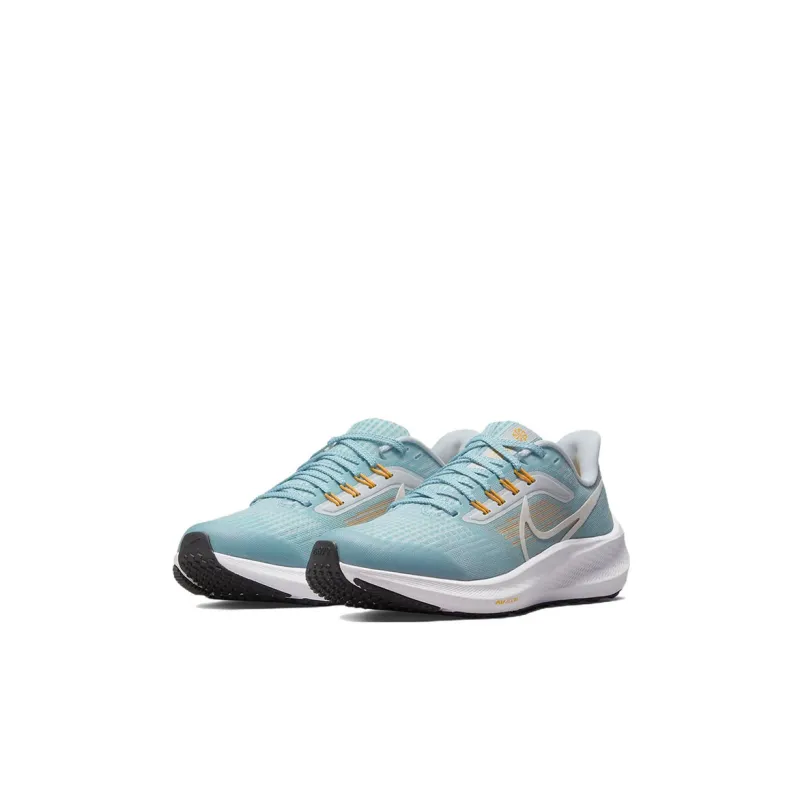 Nike Air Zoom Pegasus 39 'Blue Yellow' Gs-2