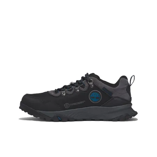 Timberland Lincoln Peak Casual Shoes Men Low-Top Black/Blue