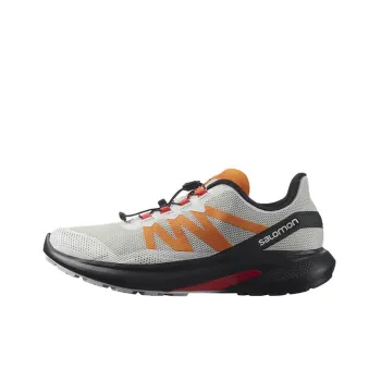 SALOMON Hypulse Abrasion Resistant Low Top Running Shoes Men's Gray