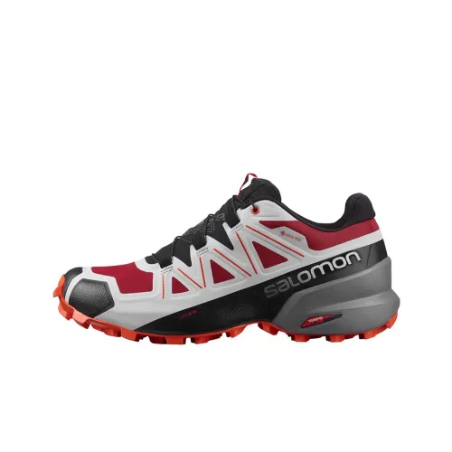 SALOMON Speedcross 5 Hiking / Trekking Shoes Men Low-Top Black/Gray/Red