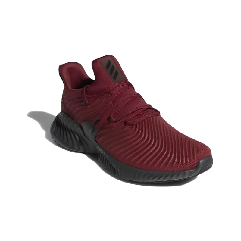 Adidas Alphabounce Instinct 'Noble Maroon'-2