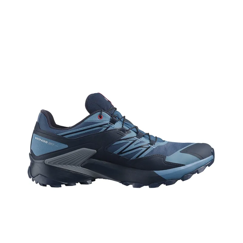 SALOMON Wings Sky Gtx / L00-1