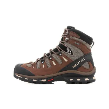 SALOMON Quest 4d 2 GTX Wear-Resistant High-Top Hiking Trekking Shoes Men's Gray Brown