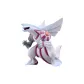 ML07 Pachirisu