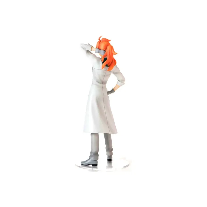 SEGA FGO Characters FGO Fate War Of The Vampires, Dr. Roman Bonus Gifts-2