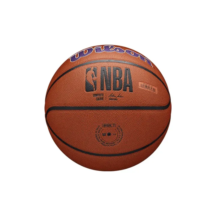 Wilson Basketball-3