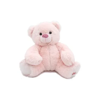 Hamleys Animal Shy Face Hiding Bear Couple Teddy Bear Pink/Brown Dolls Plush Doll 27cm Height