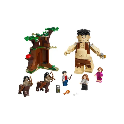 LEGO Harry Potter Collection Building Blocks