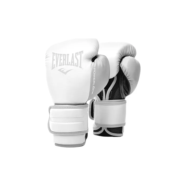 Everlast Boxing Gloves-0