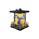 Size 5 Ball, Transparent Gift Box Set