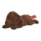 Mini Labrador