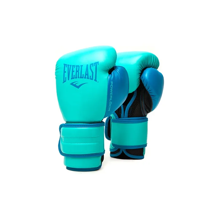 Everlast Boxing Gloves-3