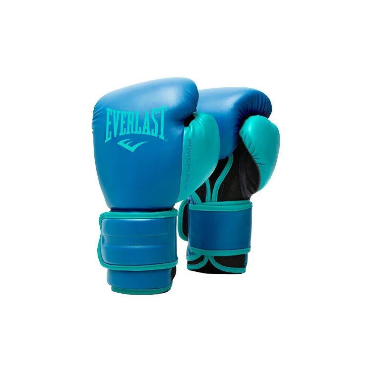 Everlast Boxing Gloves-5