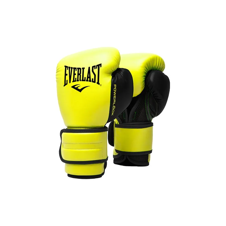 Everlast Boxing Gloves-11