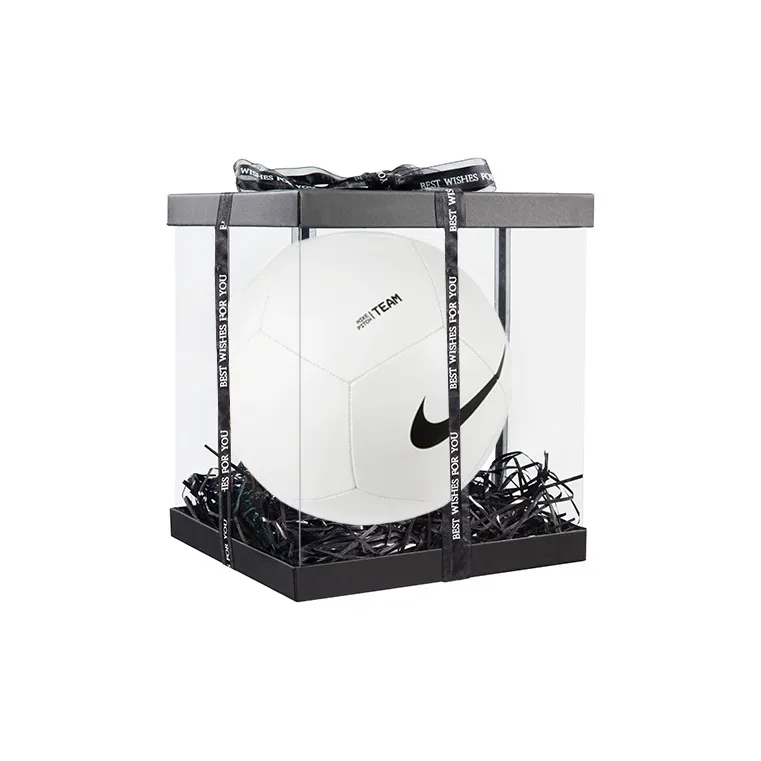 Nike Size 5 Ball Soccer PU Machine Stitched Soccer Ball Unisex White-4