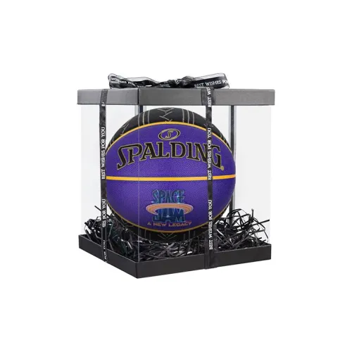 SPALDING x SpaceJam PU Basketball Purple Black Size 7 Training Unisex