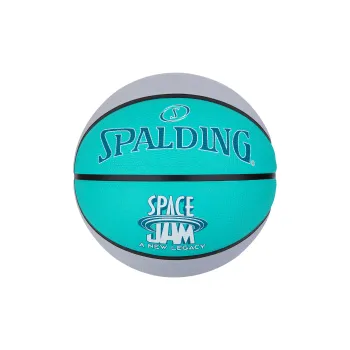 SPALDING Co branded Collection Basketball