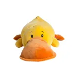 Cuddle the flat-billed duck