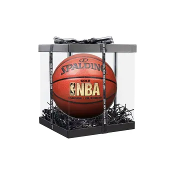 SPALDING NBA Introductory Series PU Basketball Brown Size 7 Training Unisex