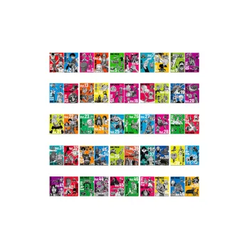 BANDAI One Piece Character Ichiban Kuji Vol.100 Anniversary Memorial Day N Reward Multicolor Folder Anime Merchandise