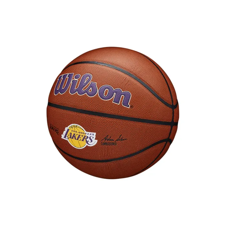 Wilson Basketball-1