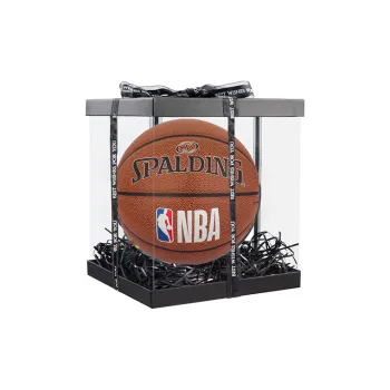 SPALDING NBA Introductory Series PU Basketball Brown Size 7 Training Unisex