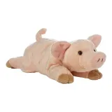 Minikin Pig