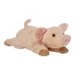 Mini Pig