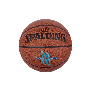 SPALDING Introductory Basketball Series PU Basketball Brown With Blue Text Size 7 Training Unisex