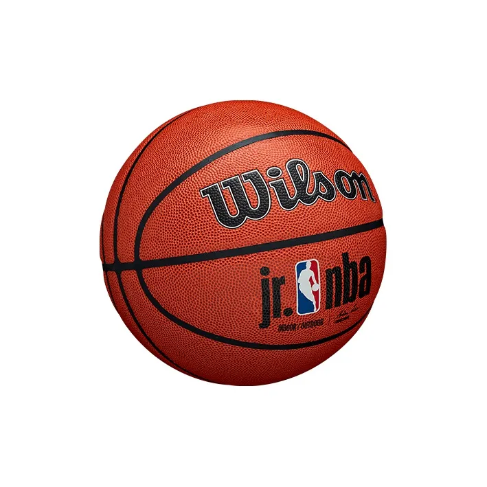 Wilson Basketball-1