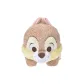 Chip