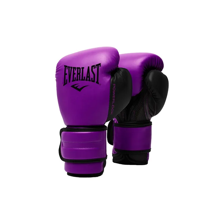 Everlast Boxing Gloves-9