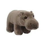 Baby hippopotamus