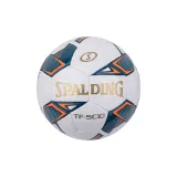 Size 5 Ball Blue and White+Pump